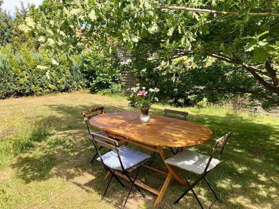 Villa Rosa Bad Sachsa Dış mekan fotoğraf