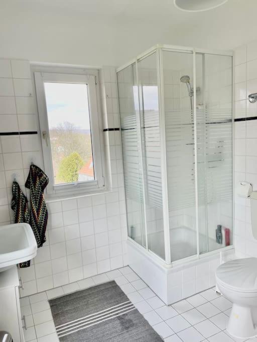Villa Rosa Bad Sachsa Dış mekan fotoğraf